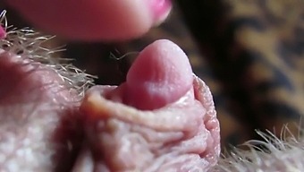 Intense Close-Up Of My Large Clitoris Head Throbbing In High Definition